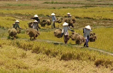 Nữ diễn viên có style