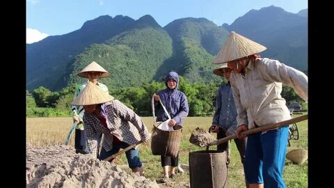 Cách Khởi Nghiệp Kiếm Tiền Bán Thời Gian Dành Cho Người Mới_Video phân phối nền tảng